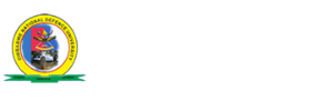 Major Lettinah Moyo | Zimbabwe National Defence University
